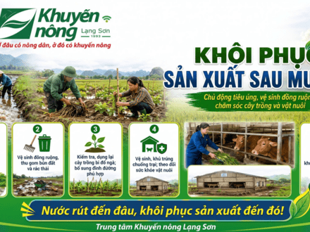 Kinh tế - Chính trị